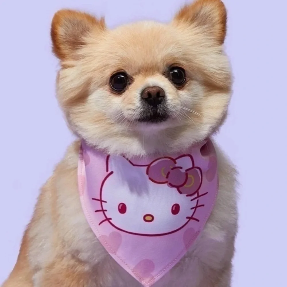 Hello Kitty Pet Bandana and Bow Set
